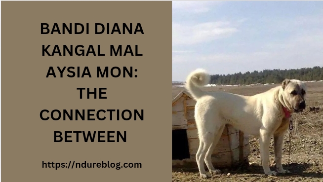 bandi diana kangal mal aysia mon